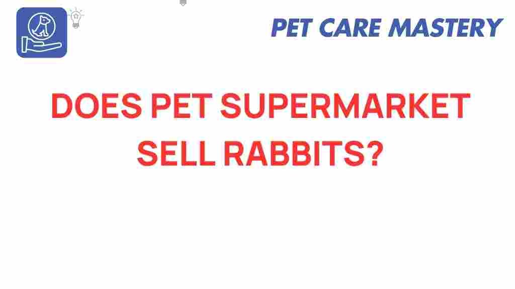 pet-supermarket-sell-rabbits