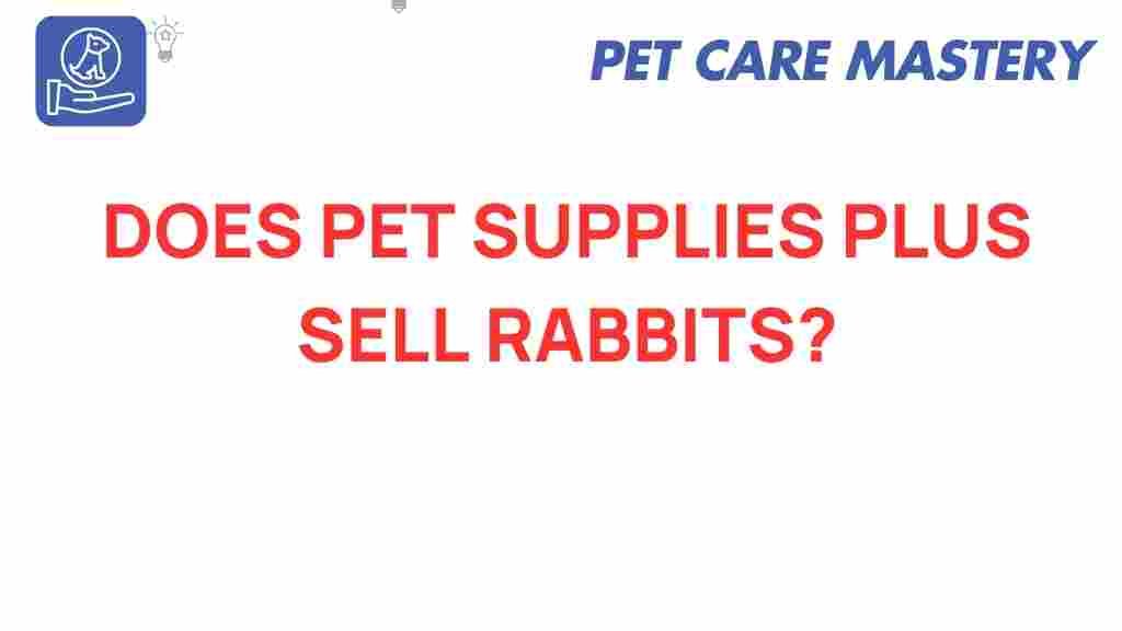 pet-supplies-plus-sell-rabbits