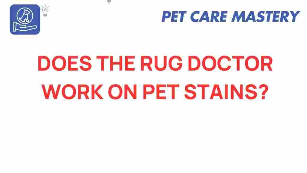 rug-doctor-pet-stains