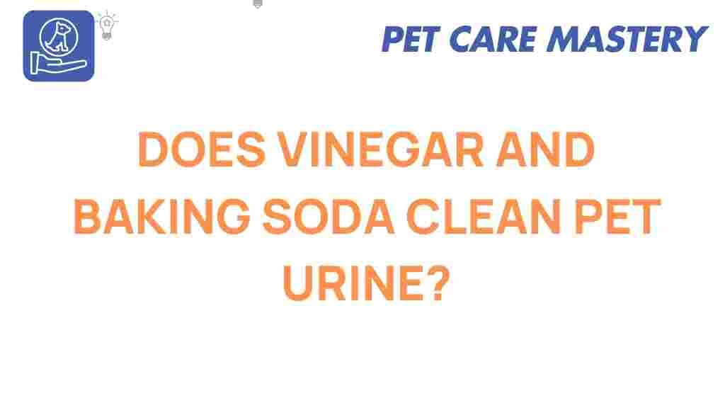 pet-urine-cleaning-vinegar-baking-soda