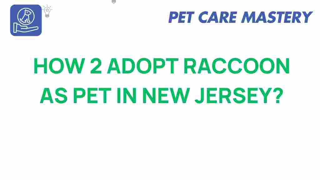 raccoon-adoption-new-jersey