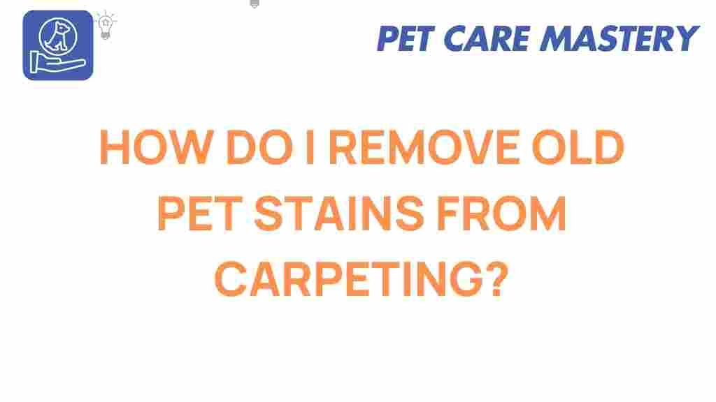 remove-pet-stains-from-carpet