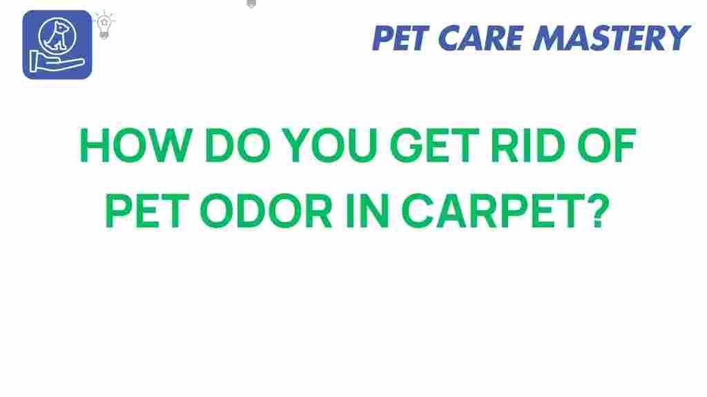 pet-odor-carpet-remedies