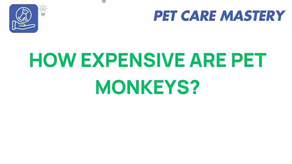 pet-monkeys-ownership-costs