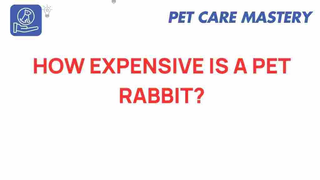 pet-rabbit-costs