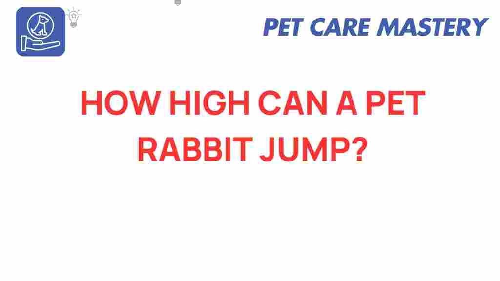 pet-rabbits-jumping-ability