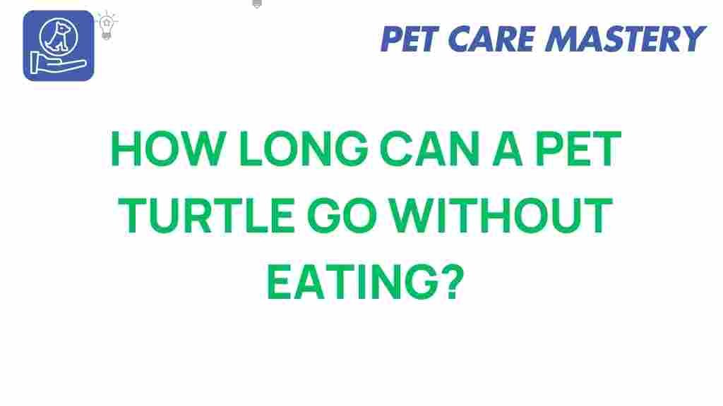 pet-turtle-survive-without-food