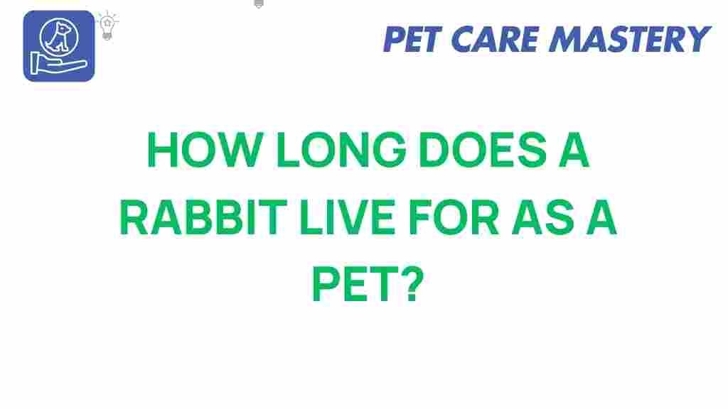 rabbit-lifespan-pet-care