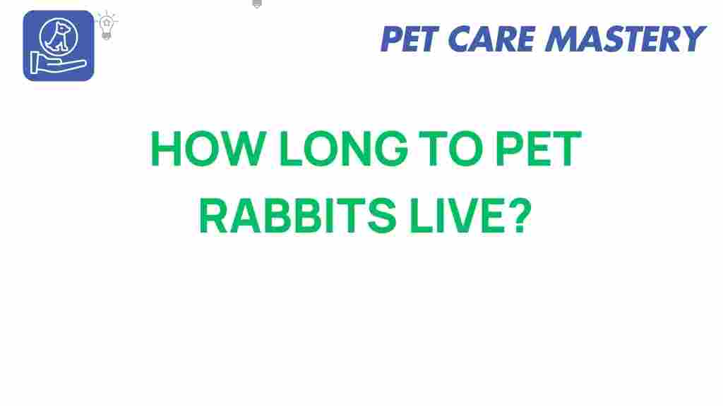 pet-rabbits-lifespan