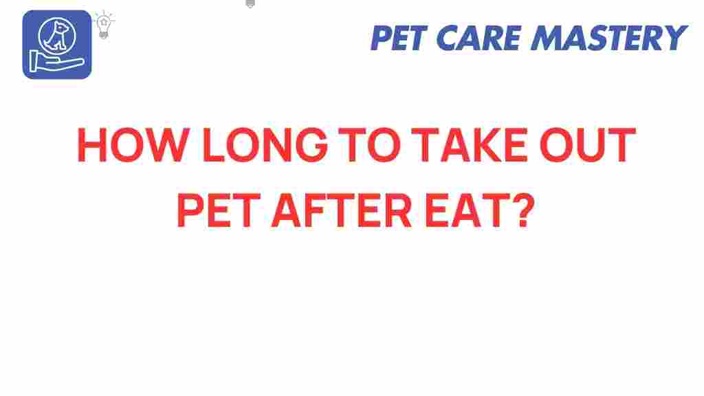 pet-care-timing-after-eating