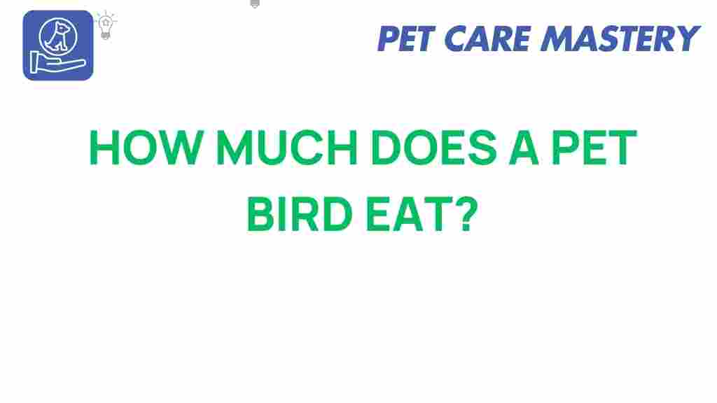 pet-bird-eat