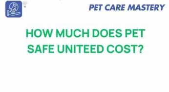 Unveiling the True Cost of Pet Safe United: Is It Worth It?