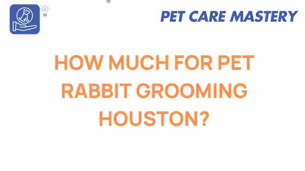pet-rabbit-grooming-houston
