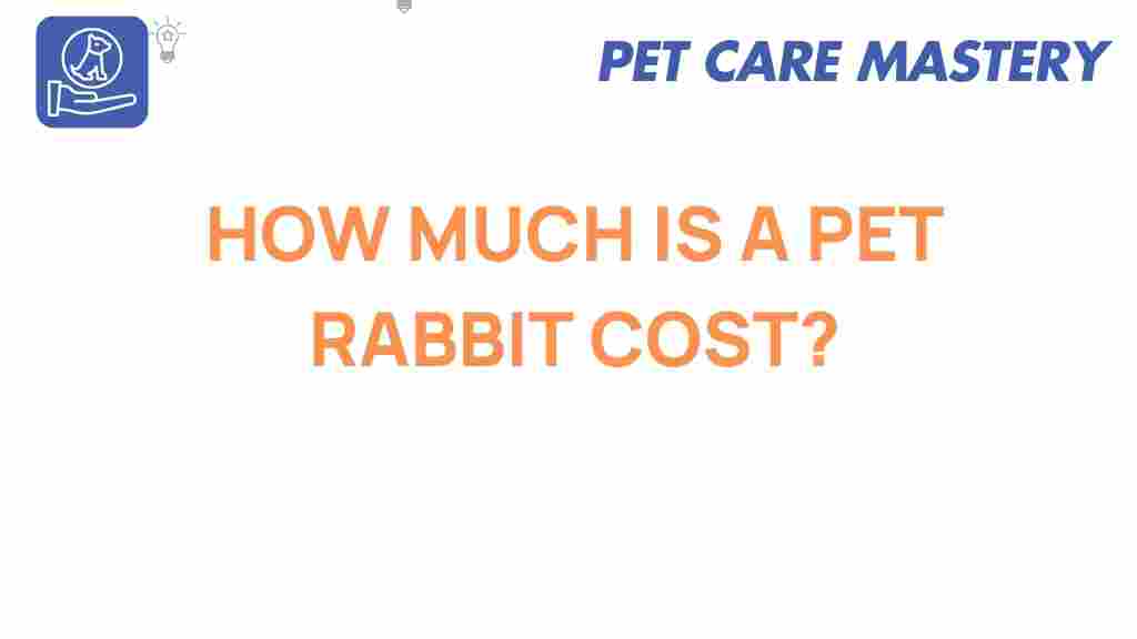 pet-rabbit-cost