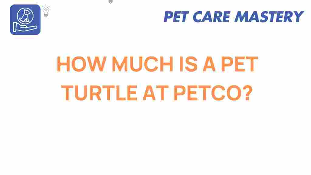 pet-turtle-cost-petco