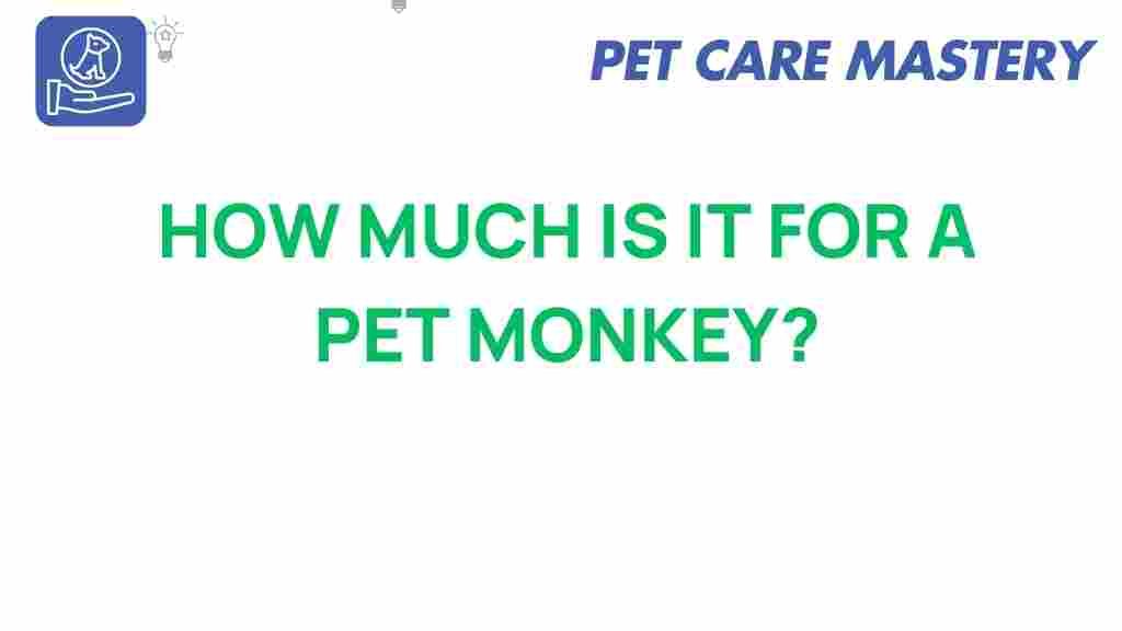 pet-monkey-costs