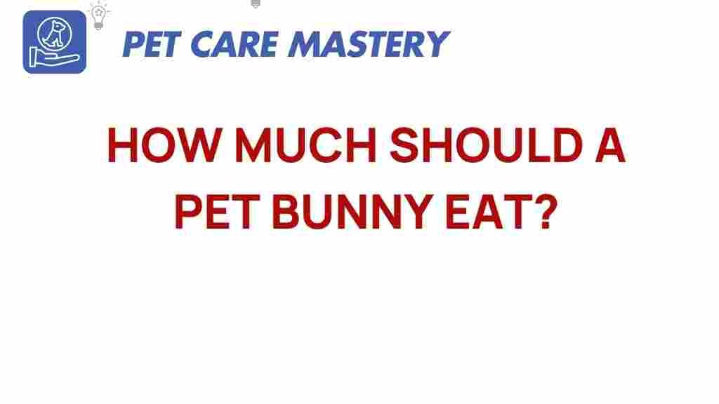 bunny-nutrition-how-much-should-your-pet-eat