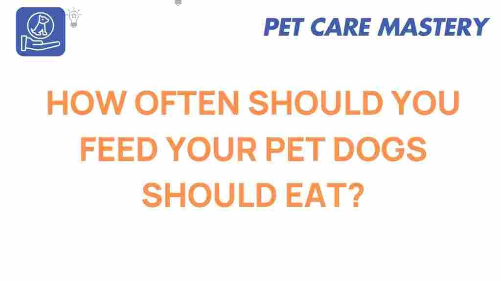 how-often-should-you-feed-your-pet