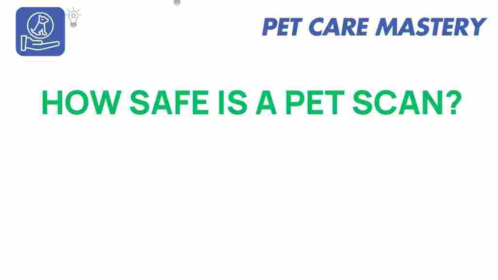 pet-scan-safety