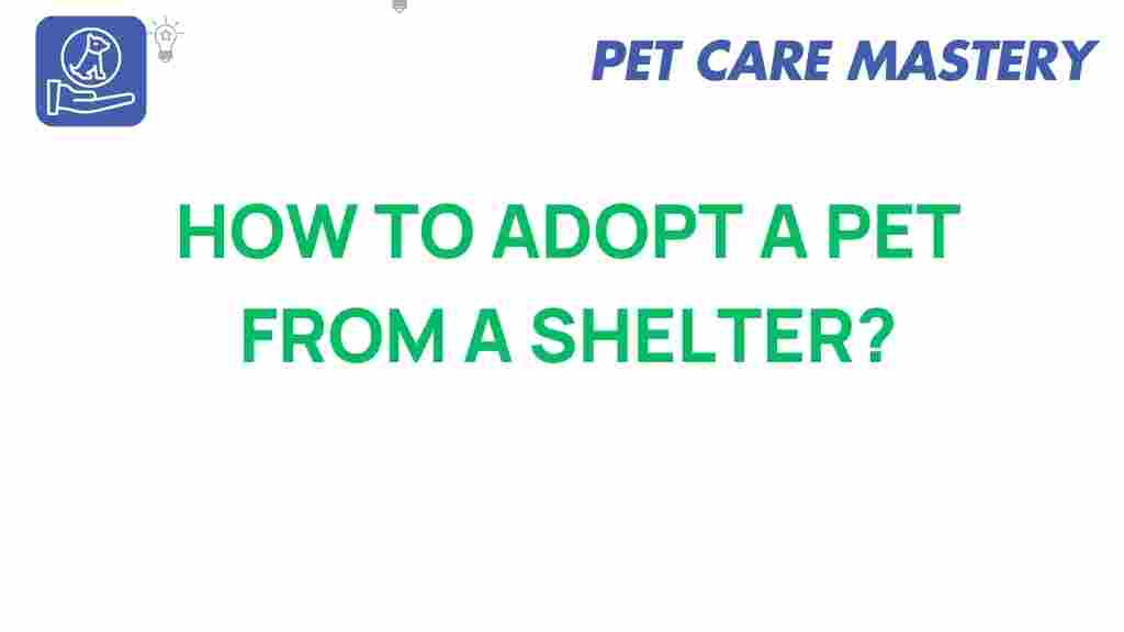 adopt-shelter-pet-guide