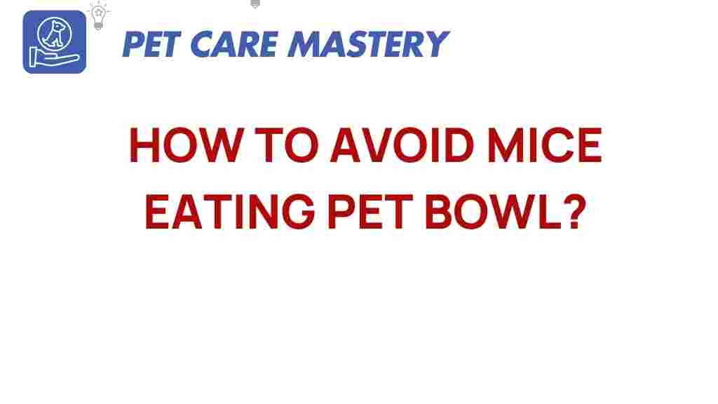 mice-prevention-pet-bowl