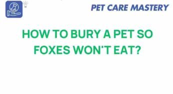 Safeguarding Your Pet’s Rest: Effective Burial Techniques