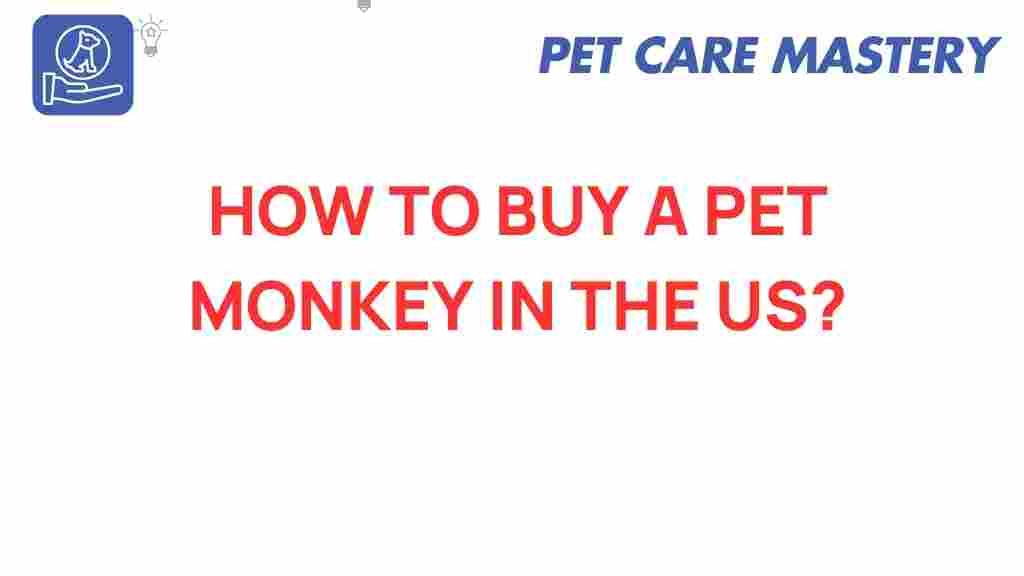 pet-monkey-ownership-guide