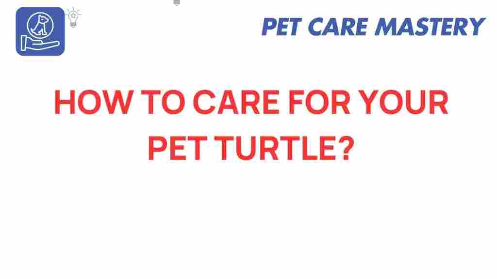 pet-turtle-care-guide