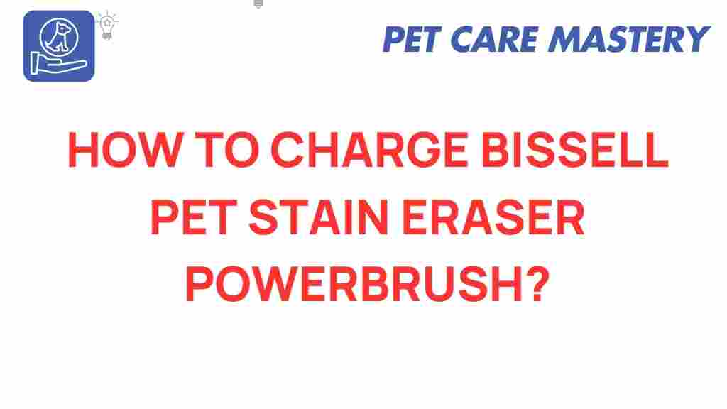 bissell-charge-pet-stain-eraser-powerbrush