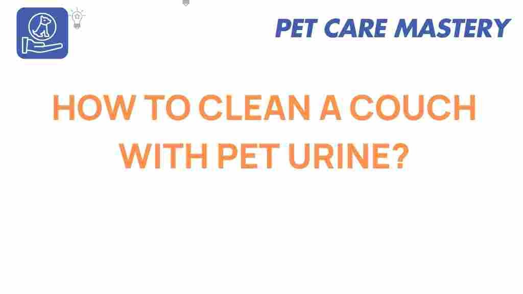 couch-cleaning-pet-urine