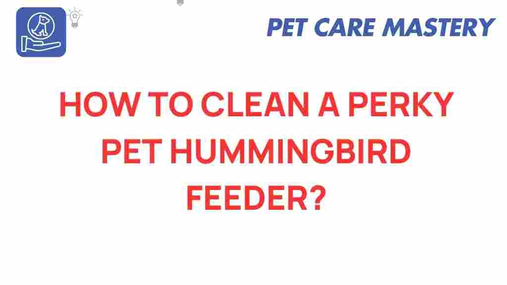 hummingbird-feeder-cleaning-tips