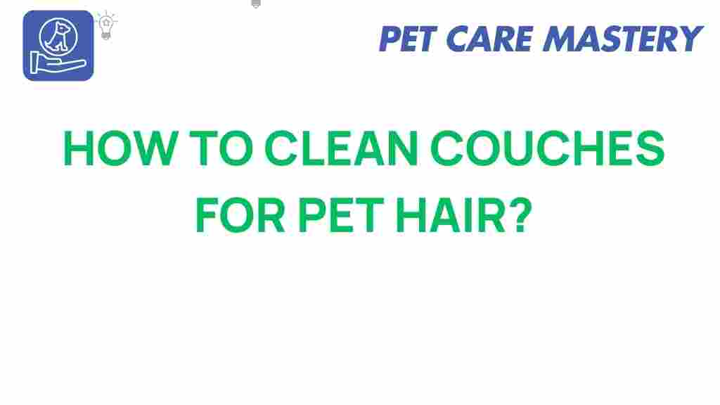 pet-hair-removal-couch-cleaning