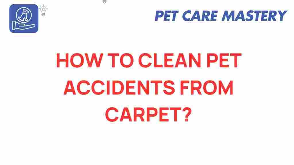 pet-accidents-carpet-cleaning