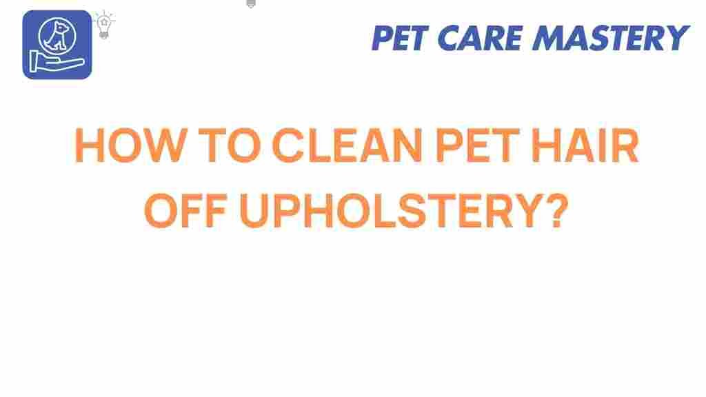 pet-hair-removal-upholstery