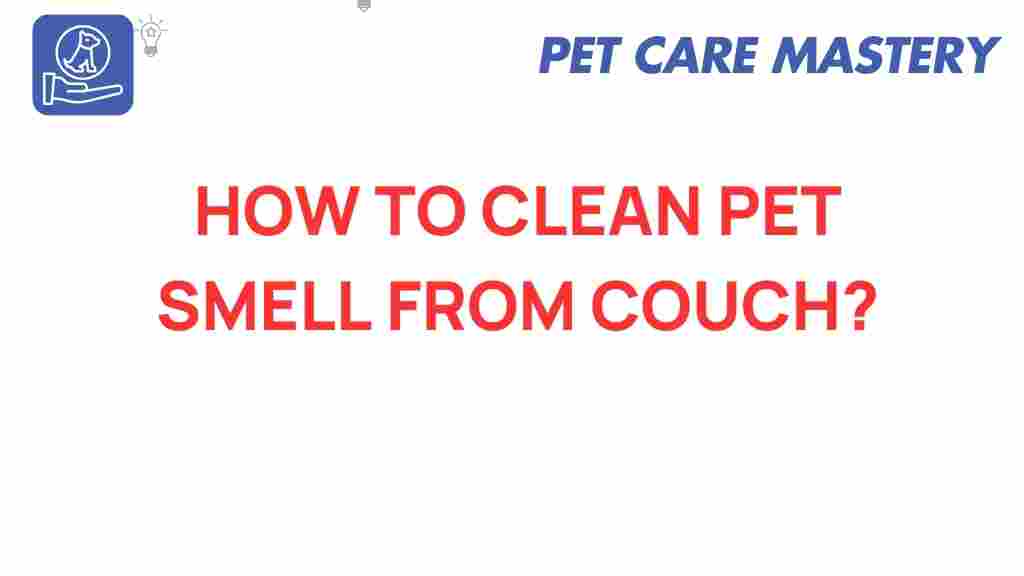 pet-odor-removal-from-couch