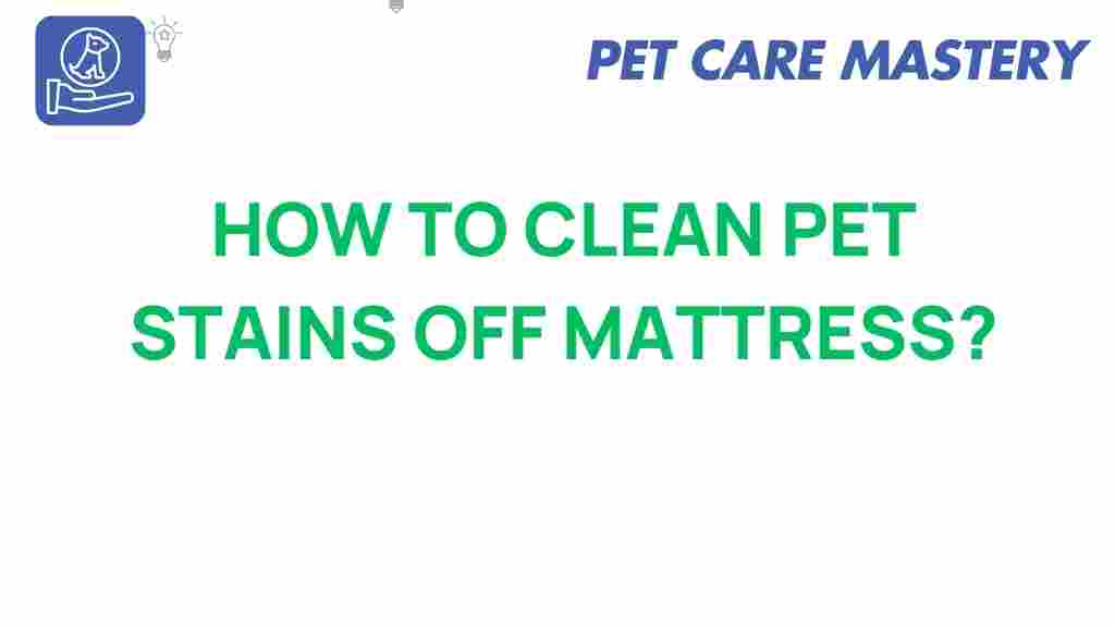 how-to-clean-pet-stains