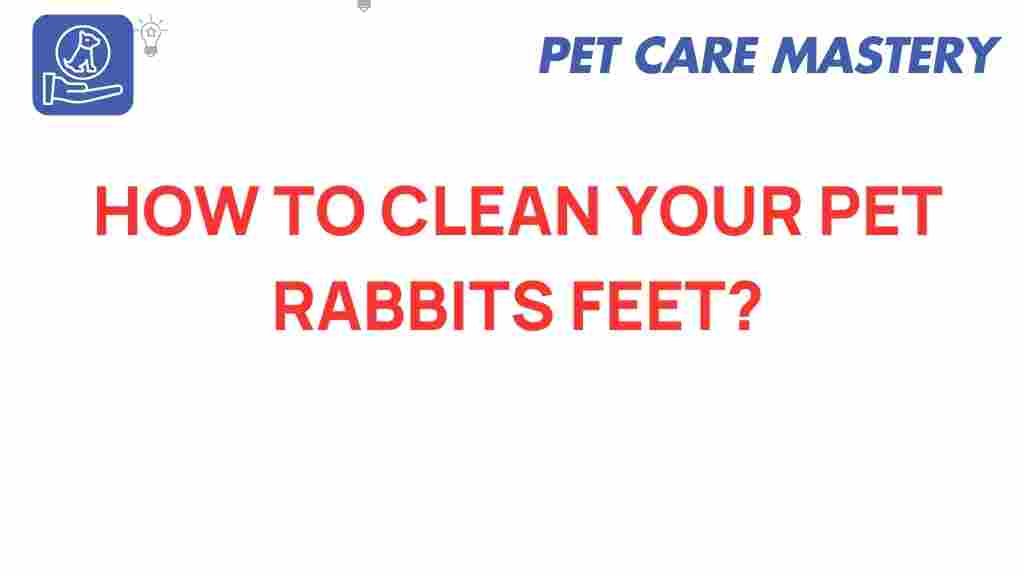 rabbit-care-cleaning-feet