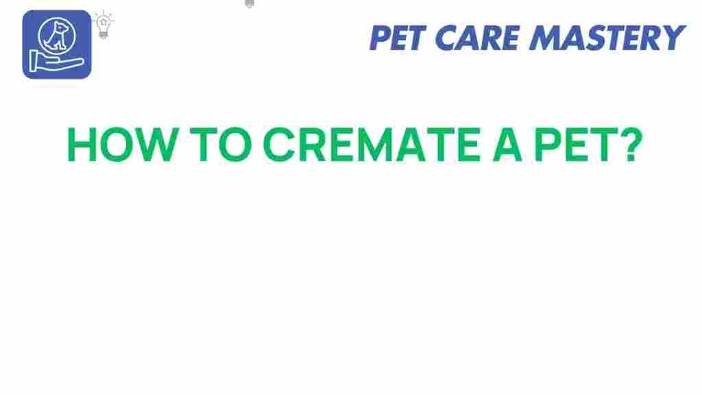 pet-cremation-guide