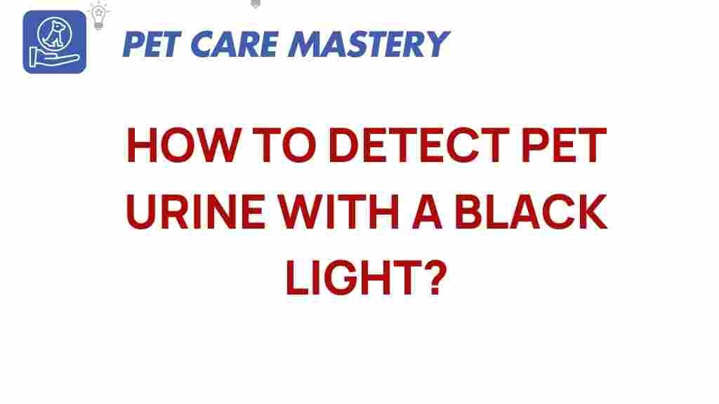 pet-urine-detection-black-light