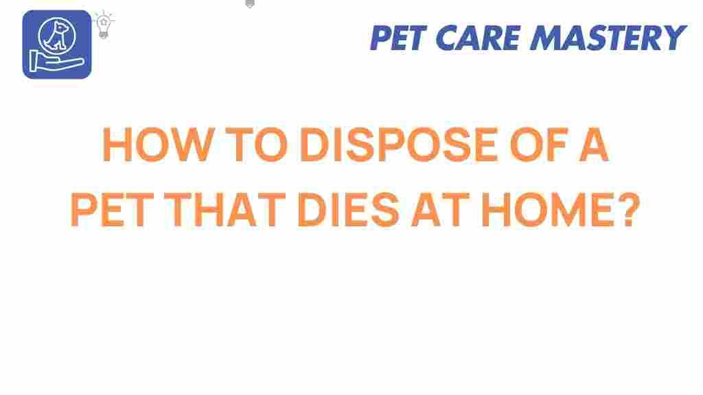 pet-loss-disposal-options