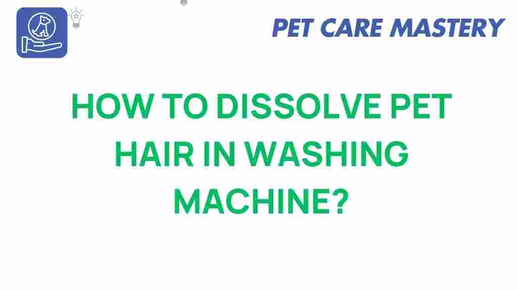 dissolve-pet-hair-washing-machine