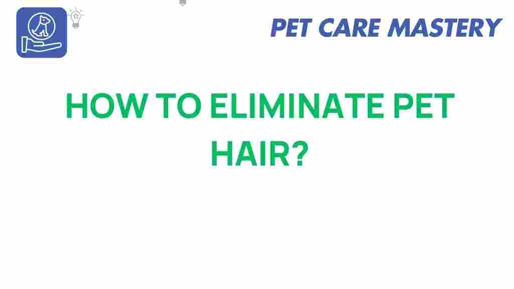 pet-hair-removal-guide