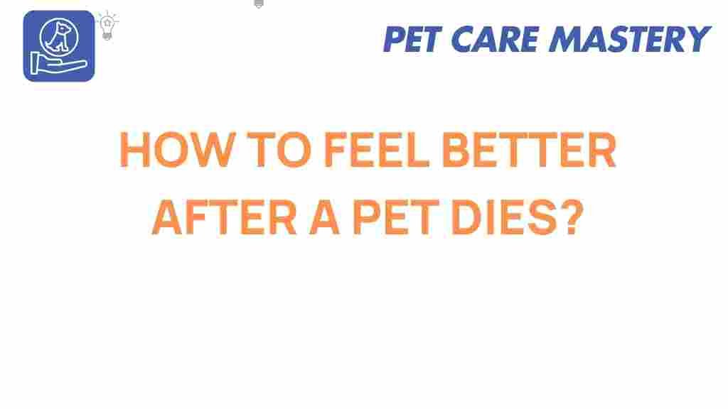 pet-loss-feel-better