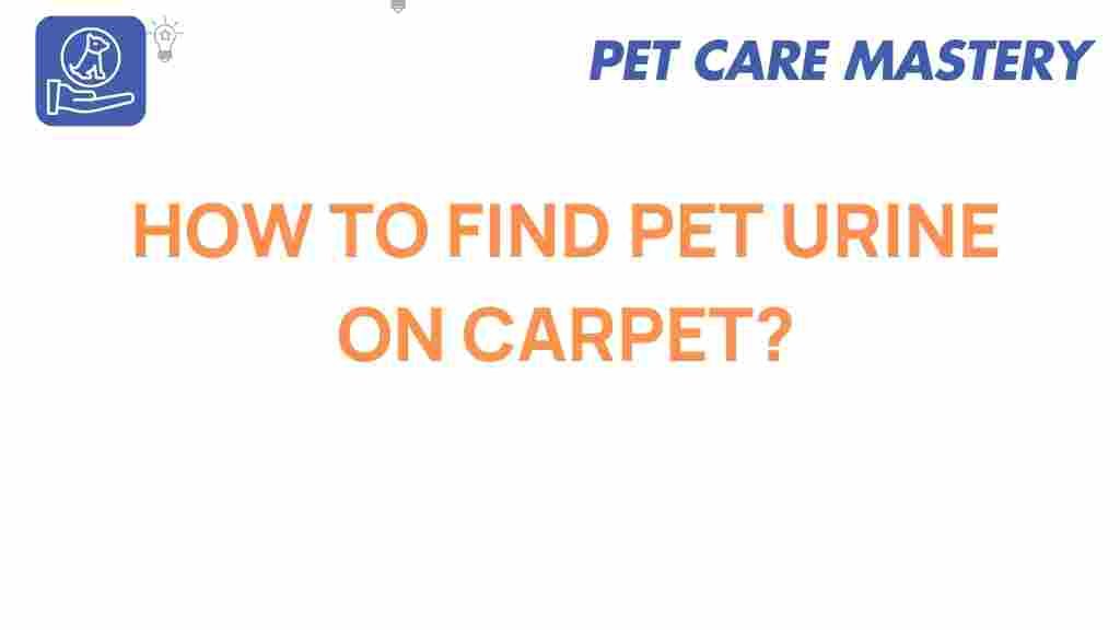 pet-urine-detection-carpet