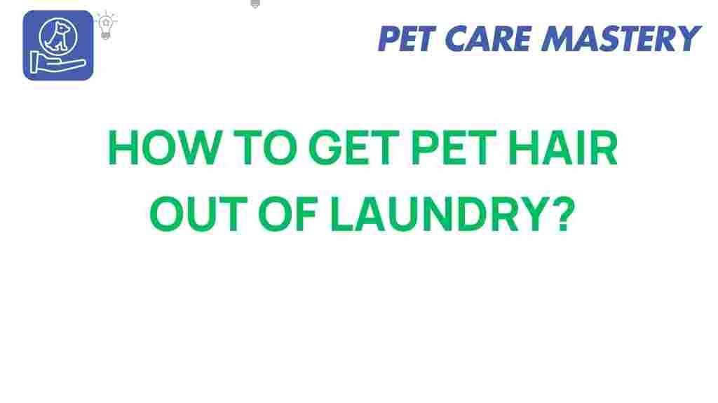 pet-hair-removal-laundry