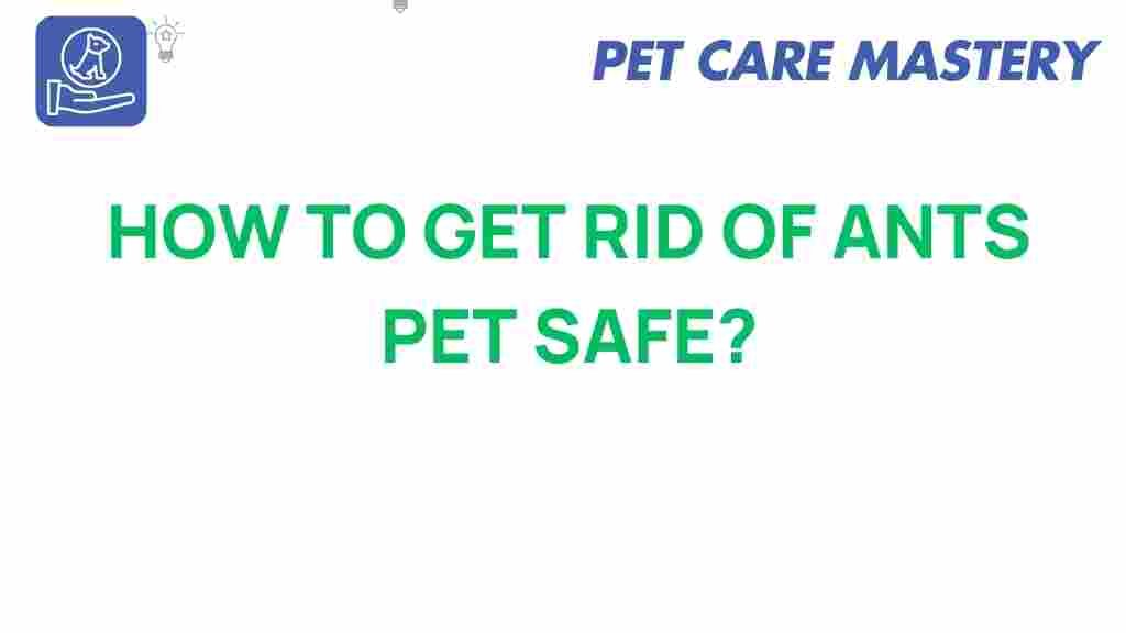 pet-safe-ants-elimination