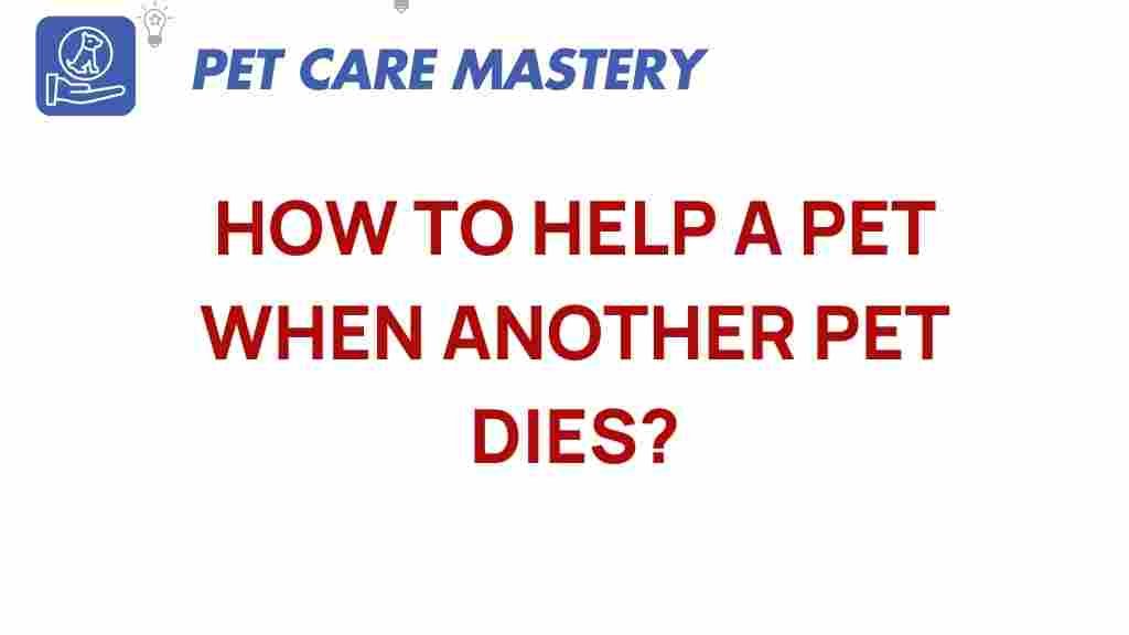 pet-grief-helping-pets-cope