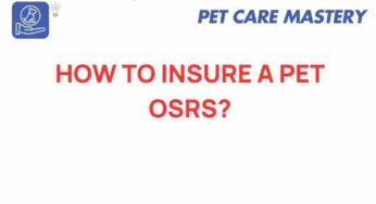 Unveiling the Secrets: How to Insure Your Pet in OSRS