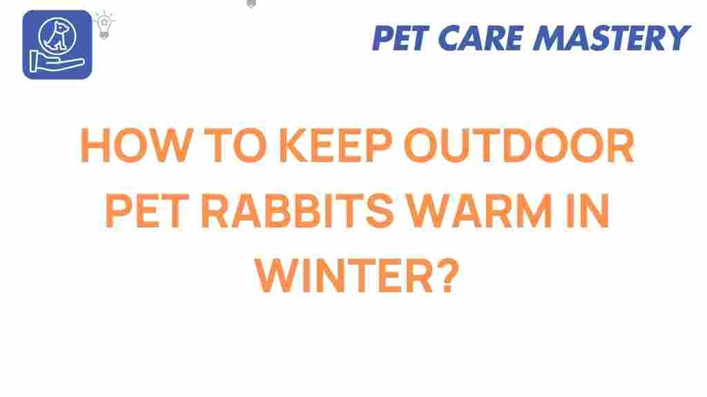 outdoor-pet-rabbits-warm-winter