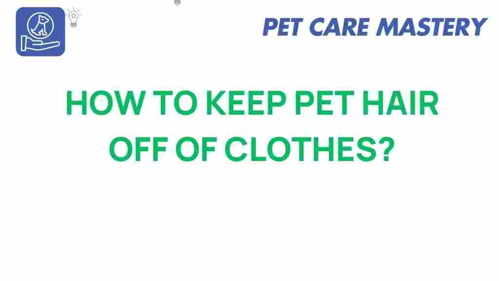 pet-hair-removal-techniques